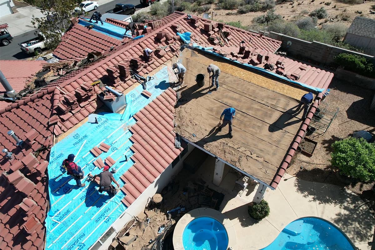 Shingle roof replacement by Lobo Roofs