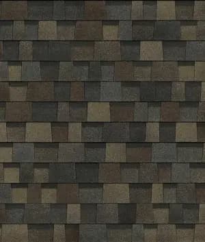 Black Sable shingle swatch